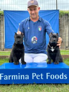 O Cane Corso Italiano do Canil Ceolin Corso é criado com genética de excelência, pedigree reconhecido e socialização desde cedo. Nossos filhotes são ideais para guarda, companhia e exposição, entregues vacinados, vermifugados e com laudo veterinário, garantindo saúde, força e temperamento equilibrado.