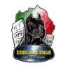 O Canil Ceolin Corso é destaque nacional na criação de Cane Corso Italiano. Nossos filhotes têm pedigree, genética de excelência e são preparados com socialização e acompanhamento veterinário, resultando em cães fortes, equilibrados e leais.