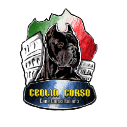 No Canil Ceolin Corso, criamos filhotes de Cane Corso Italiano de linhagem pura, com pedigree oficial e genética selecionada. Nossos cães são fortes, saudáveis e equilibrados, ideais para guarda, companhia ou exposição. Trabalhamos com acompanhamento veterinário, socialização desde cedo e alimentação balanceada, garantindo o melhor padrão da raça. Atendemos todo o Brasil com filhotes entregues com segurança e procedência garantida.