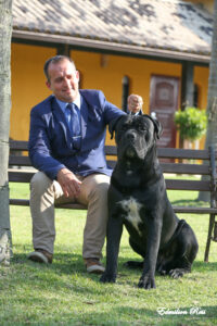 O Canil Ceolin Corso oferece filhotes de Cane Corso Italiano criados em ambiente familiar, com pedigree oficial e genética de excelência. Cães com estrutura robusta, saúde comprovada e temperamento equilibrado, ideais para quem busca um guardião confiável e ao mesmo tempo um companheiro leal.