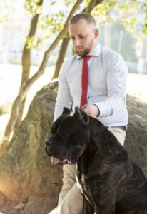 Conheça nossos Cane Corsos: cães protetores, inteligentes e afetuosos, criados em ambiente familiar no Canil Ceolin Corso. Garantimos filhotes saudáveis, com pedigree e genética selecionada.