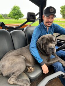 Cane Corso Italiano de alta qualidade no Brasil: filhotes fortes, saudáveis e equilibrados. O Canil Ceolin Corso é especializado em oferecer cães de excelência, com suporte completo para os tutores.